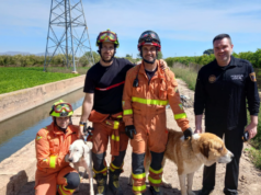 RESCATE INTENSO: perros necesitan auxilio de los bomberos tras quedar atrapados BOMBEROS RESCATE PERROS MONCADA