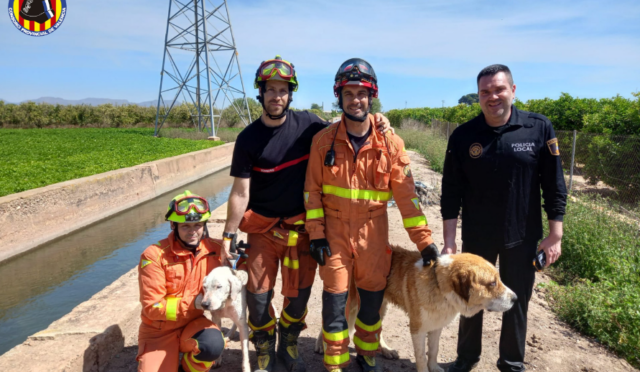 BOMBEROS RESCATE PERROS MONCADA