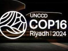 Factorenergia festeja 25 años enfatizando su espíritu emprendedor y su apuesta por la sostenibilidad