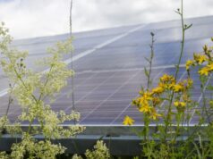 Este miércoles Badajoz será sede de la jornada sobre agrovoltaica en la península ibérica organizada por UNEF y Apren