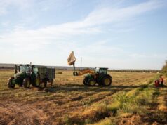 Las empresas más sostenibles del mundo: Unilever lidera en su sector