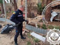 “Se tuvo que esconder en una caseta”: un perro-lobo ataca a un vecino de Valencia