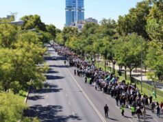Profesionales liberales divididos ante la pasarela al RETA