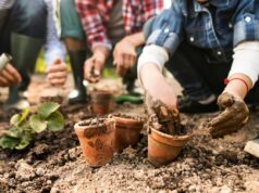 Mastika L’Horta te inicia en los cursos de agricultura en Valencia