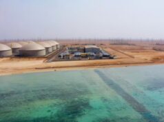 Arabia Saudí apuesta por la energía solar para desalar agua y conservar el medio ambiente