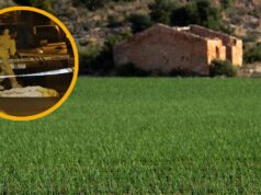“Querían borrarlo del mapa” | Asesinado, quemado y dejado en un campo: un crimen en Llíria que esconde más de lo que parece