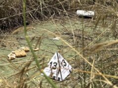 “Estaba envuelto en llamas”: un solar con toxicómanos en Valencia se convierte en escenario de horror