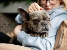 Advance desarrolla el Vitality Test para promover la vitalidad en perros mayores