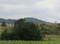 Descubren el cadáver de Isabel entre basura y devorada por ratas en este pueblo de Valencia