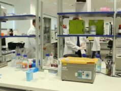 El Congreso de Eshre acoge un estudio que multiplica por cinco los ovocitos en ratones