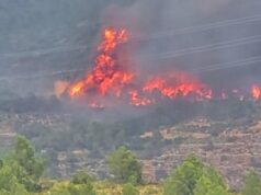 Una navaja, una deuda y sangre en el centro de Llíria