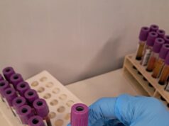 La Comunitat Valenciana celebra un aumento en los donantes de médula ósea y cordón umbilical