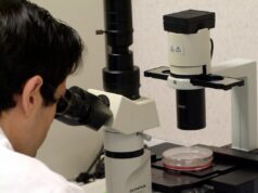 Más de 50 actividades en la Noche Europea de la Investigación en la Comunitat Valenciana