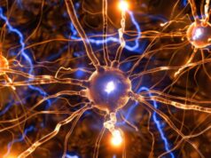 El XVII Simposio Geino se celebrará en Madrid los días 28 y 29 de octubre