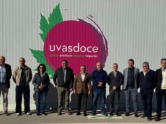 Alicante recibe 128 solicitudes para ayudar a jóvenes y nuevos agricultores en la modernización del campo