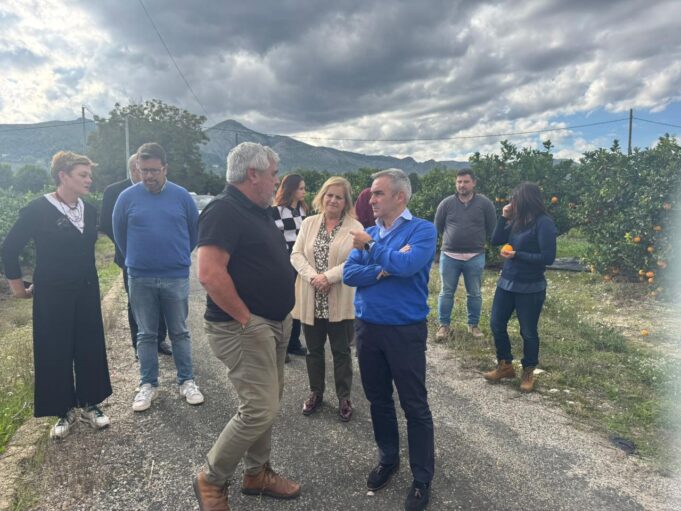 Barrachina destaca la importancia de las Iniciativas de Gestión en Común para mejorar las estructuras agrarias en Valencia