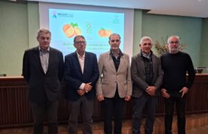 Investigación reafirma los beneficios de los cítricos para la salud humana