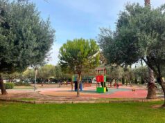 Paterna supera los 31.000 árboles plantados en la ciudad con casi 12.000 nuevos ejemplares en los últimos nueve años