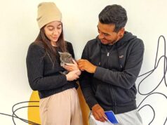 196 Animales del Refugio Municipal de Paterna Encuentran un Hogar en 2025