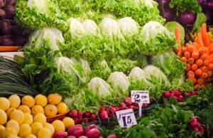 Cursos de agricultura en Valencia y alimentos frescos: Mastika L’Horta, tu elección ecológica