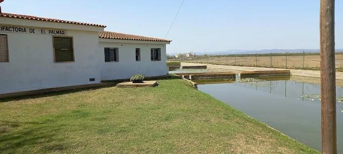 La Generalitat Mejora las Infraestructuras del Centro Acuícola de El Palmar para Mitigar los Efectos del Cambio Climático