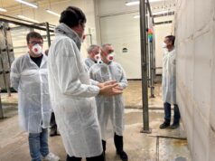 La Generalitat Valenciana invierte más de 39 millones de euros en sanidad vegetal para salvar la agricultura local