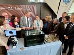 La Generalitat Valenciana refuerza la protección del petxinot en l’Albufera como clave ecológica