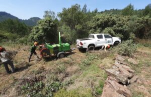 La Generalitat inicia una estrategia para mejorar la seguridad contra incendios forestales