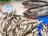 No es alergia: la intoxicación por pescado que alarma a muchos consumidores