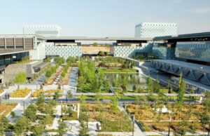 Telefónica progresa en su estrategia de digitalización responsable en 2025