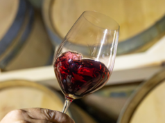 Identidad de origen y respeto al entorno: Finca Casa Doñana y sus viñedos propios certificados en ecológico