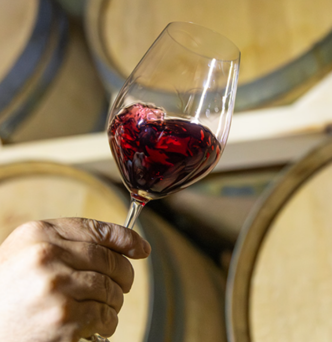 Identidad de origen y respeto al entorno: Finca Casa Doñana y sus viñedos propios certificados en ecológico