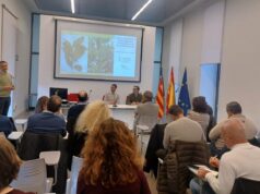 El sector citrícola de la Comunitat Valenciana recibe información sobre el virus de clorosis nervial amarilla