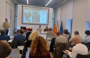 El sector citrícola de la Comunitat Valenciana recibe información sobre el virus de clorosis nervial amarilla
