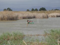 La Generalitat Valenciana impulsa la instalación de sistemas de monitorización ambiental en humedales protegidos