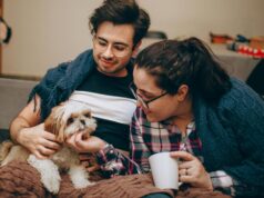 Mascotas y deducción fiscal en Andalucía: qué pasa en el resto de comunidades