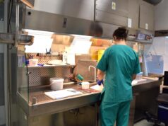 El Instituto de Medicina Legal y Ciencias Forenses de Alicante anuncia una jornada de puertas abiertas para futuros médicos residentes