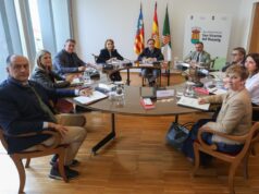 Juanfran Pérez Llorca lidera el pleno del Consell en Sant Vicent del Raspeig