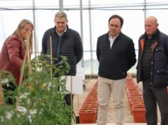 Juanfran Pérez Llorca presenta apoyo económico a 108 nuevos agricultores en la Comunidad Valenciana
