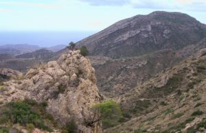 La Generalitat Valenciana promueve un total de 91 proyectos para la ordenación de montes públicos