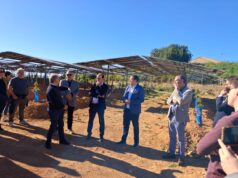 La Conselleria de Agricultura refuerza el relevo generacional en el campo valenciano con una inversión de 29 millones de euros