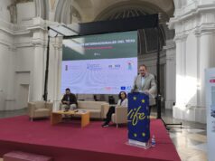 La Generalitat Valenciana impulsa la conservación del tejo con las V Jornadas Internacionales en Requena