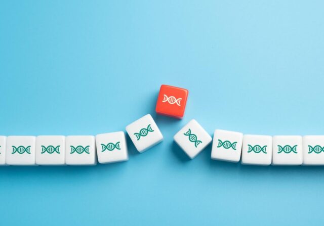 01-1x1.jpg