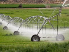 El IVF lanza una nueva línea de financiación ‘IVF Agro Anticrisis’ para el sector primario en medio de la crisis económica