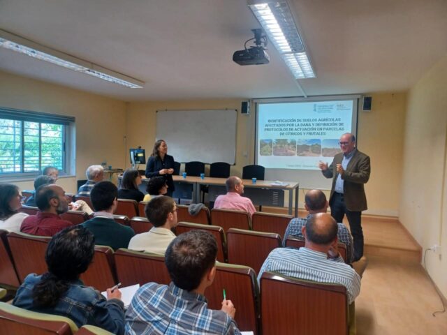 El_IVIA_revela_la_alta_resiliencia_de_los_suelos_agricolas_valencianos_tras_la_Dana_de_2024.jpg