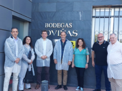 La Comunitat Valenciana recibiría más de 5 millones de euros en ayudas para bodegas e instalaciones de transformación vitivinícola