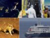 El ICGEA advierte del impacto reputacional del brote de hantavirus en Canarias