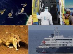 El ICGEA advierte del impacto reputacional del brote de hantavirus en Canarias