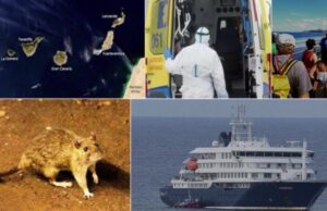 El ICGEA advierte del impacto reputacional del brote de hantavirus en Canarias