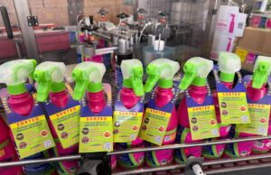 “Tu mejor recuerdo empieza en Sevilla”, la nueva campaña veraniega de El Milagrito